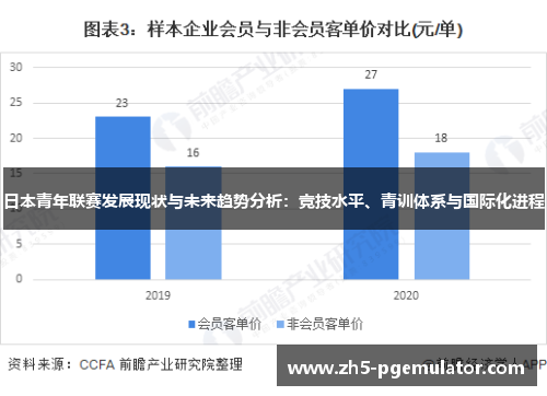 日本青年联赛发展现状与未来趋势分析：竞技水平、青训体系与国际化进程