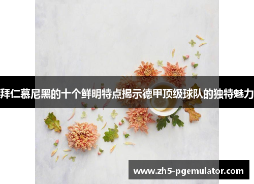 拜仁慕尼黑的十个鲜明特点揭示德甲顶级球队的独特魅力