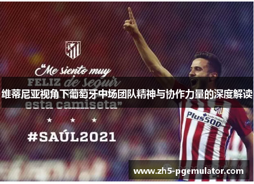 维蒂尼亚视角下葡萄牙中场团队精神与协作力量的深度解读