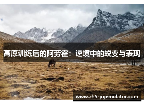 高原训练后的阿劳霍：逆境中的蜕变与表现